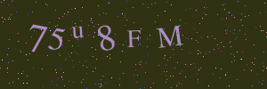 Validation image